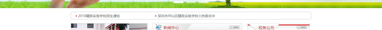 深圳網(wǎng)站設(shè)計(jì)公司_高端定制設(shè)計(jì)網(wǎng)站_營(yíng)銷型網(wǎng)站設(shè)計(jì)制作_深圳網(wǎng)站建設(shè)