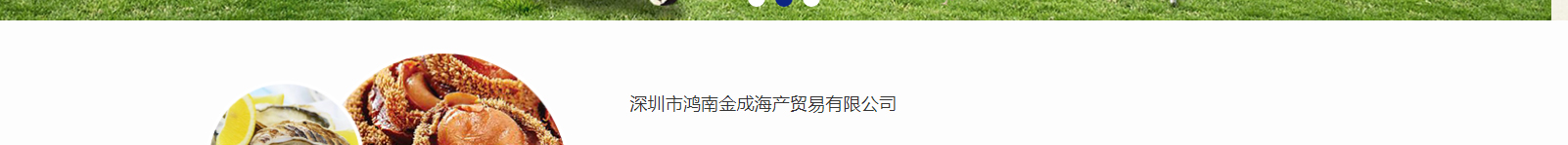 網(wǎng)站建設設計案例_營銷型網(wǎng)站制作案例 網(wǎng)站建設設計案例_營銷型網(wǎng)站制作案例