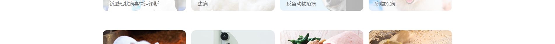 新型冠狀病毒快速診斷